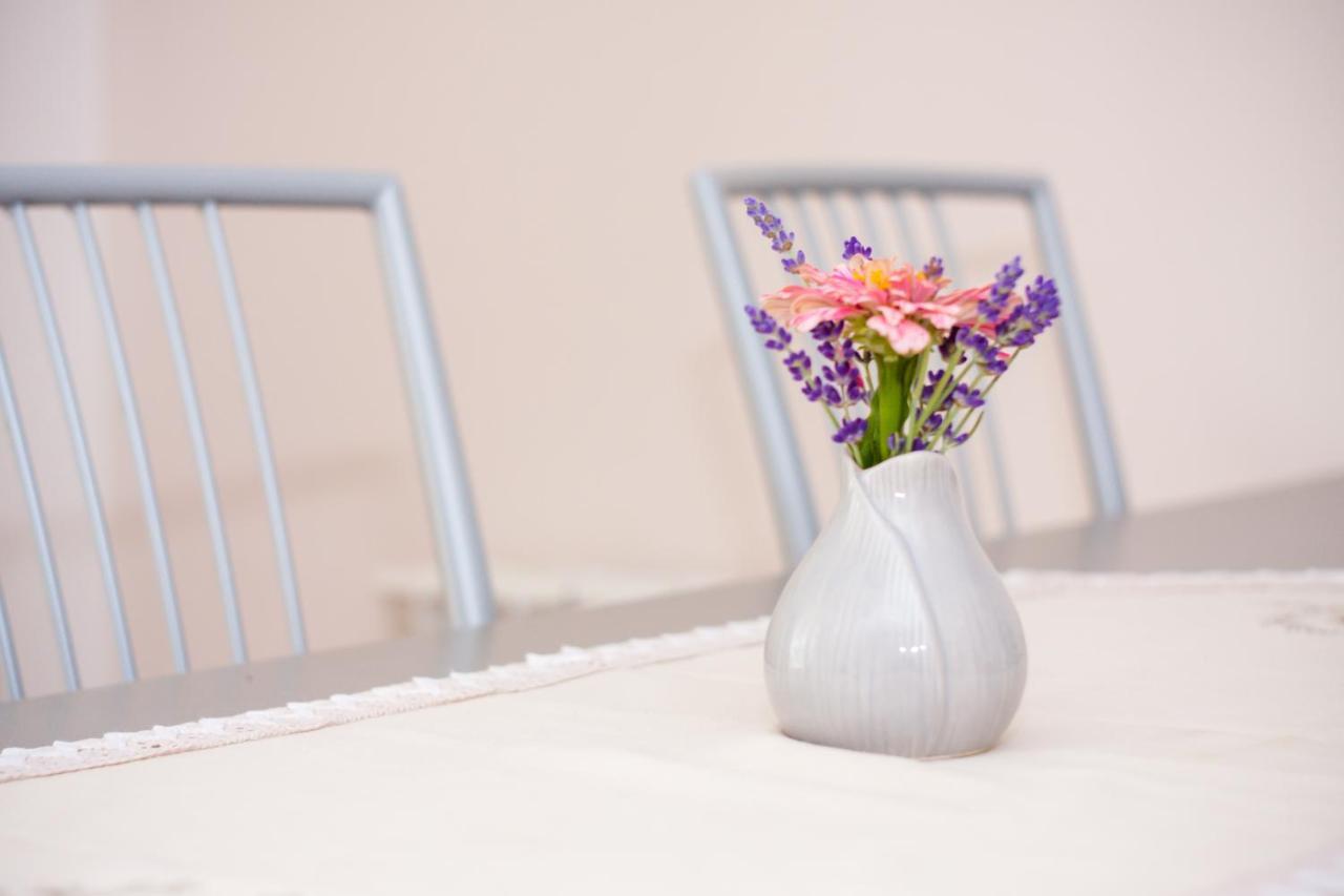 Apartmani Strsoglavec คราพินสเก ทอปลิตเซ ภายนอก รูปภาพ